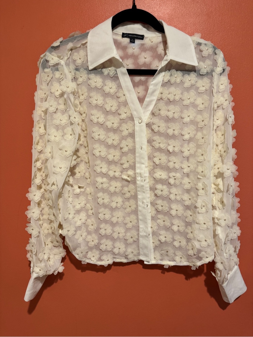 Adrianna Papell Cream 3D Floral Appliqué Sheer Button-Down Blouse